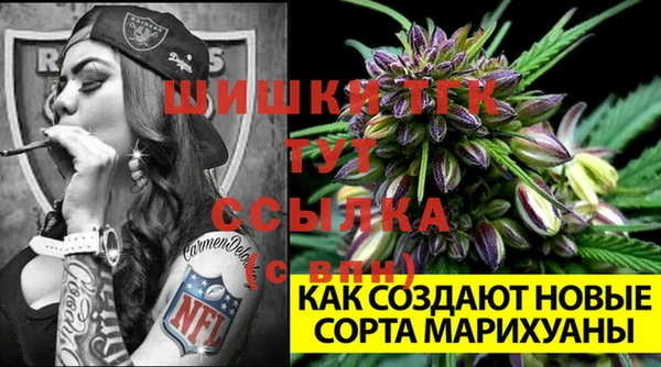 сатива Аркадак
