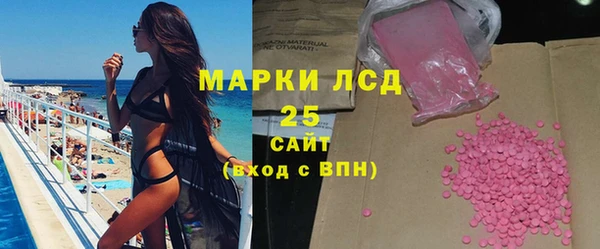 сатива Аркадак