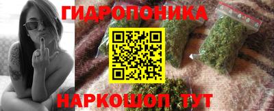 a pvp Аргун