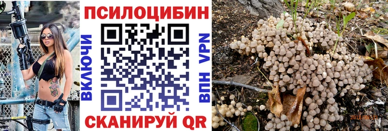 Псилоцибиновые грибы прущие грибы  Борисоглебск 